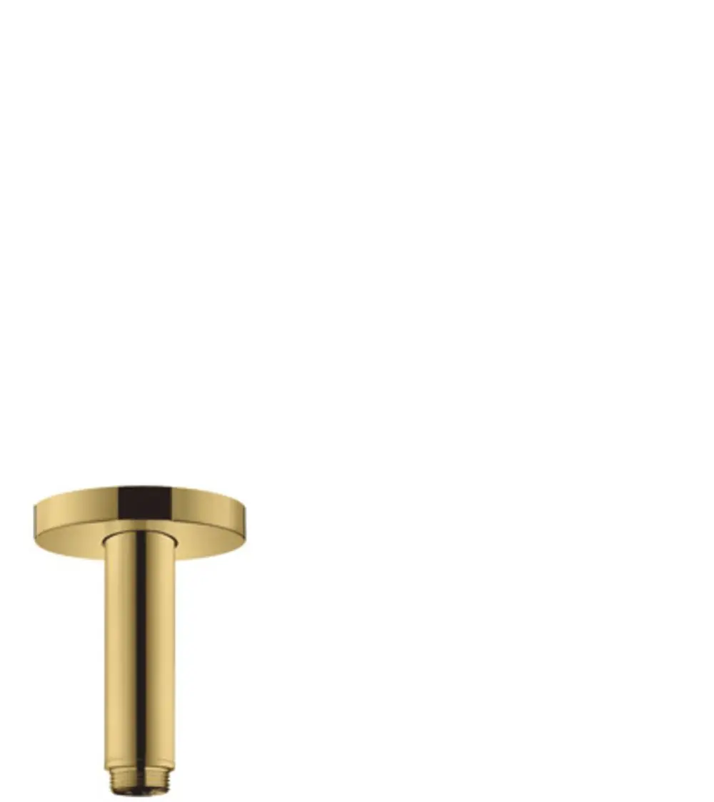 Deckenanschluss in poliertem Gold, gefertigt von Hansgrohe. Zylinderform mit flacher, runder Oberseite und Gewinde an der Unterseite.